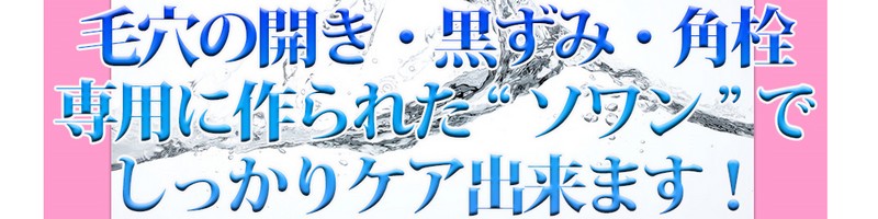 �\�������T�C�g